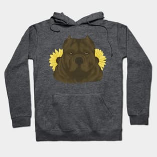 Chocolate American Bully with Sunflowers Hoodie